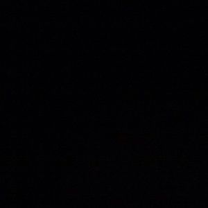 Meet your Posher, Susie